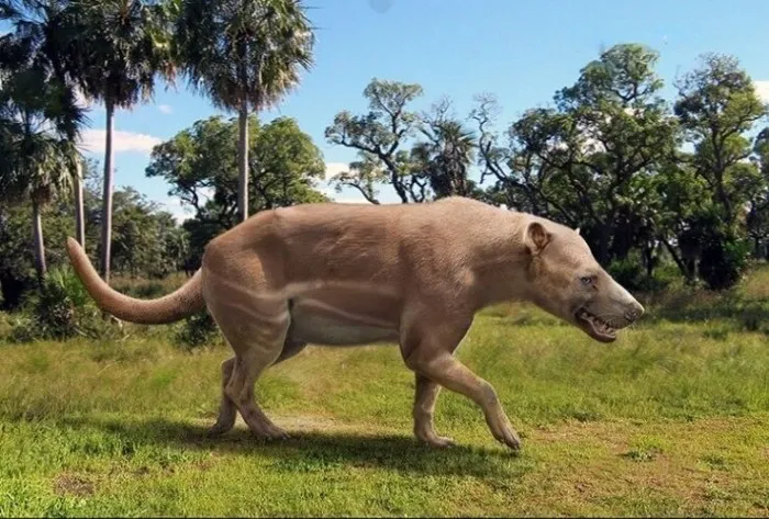 Мезонихиды: Копытные «волки» и «медведи». Они были элитой хищного мира на заре эры млекопитающих