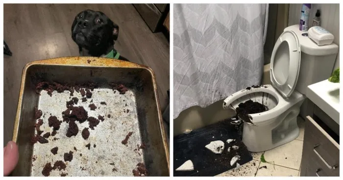 20 человек, чей день пошёл не по плану