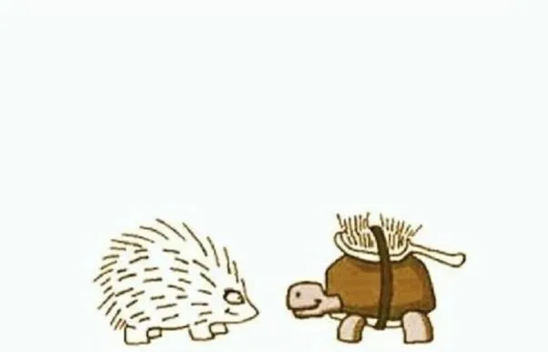 Порция философии