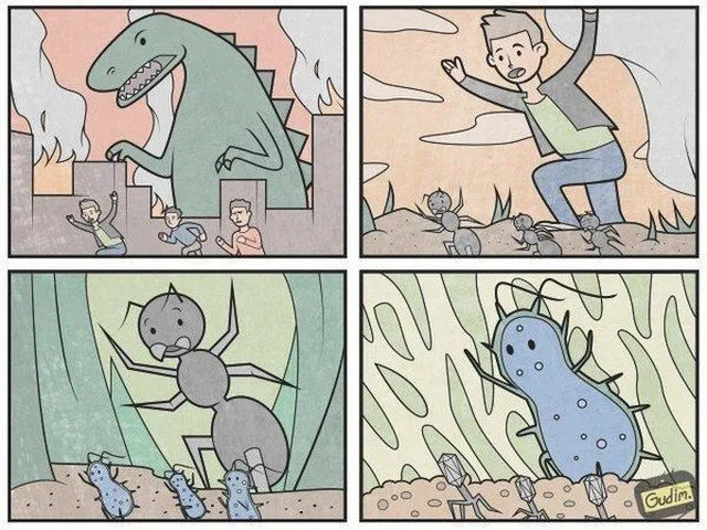 Порция картинок