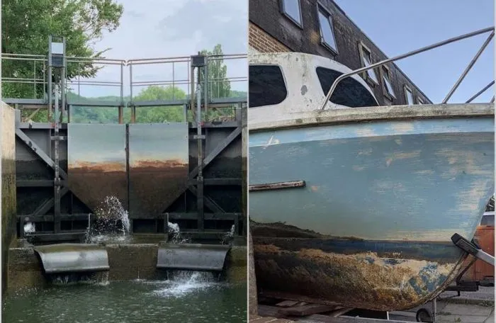 15 доказательств, что природа — лучший художник