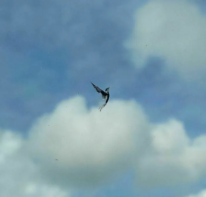 15 доказательств, что природа — лучший художник