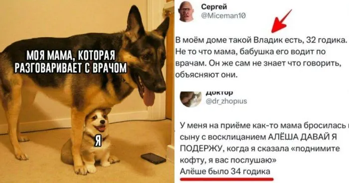 Сыночек 35+ лет пришёл с мамой на приём: невыдуманные истории от медиков про "бытовых инвалидов"