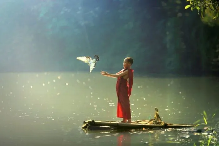 Просто фото