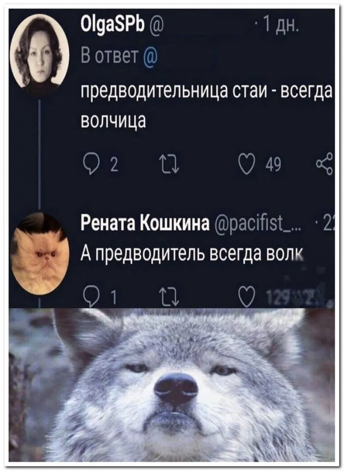 Скрины из соцсетей