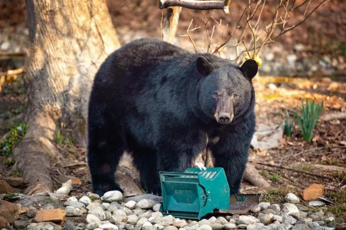 Фотоподборка