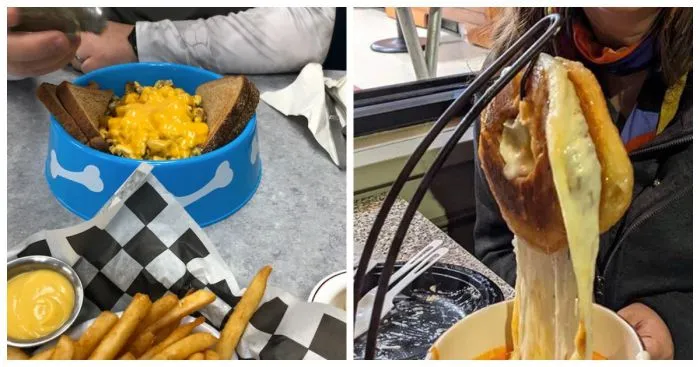 21 голодный человек, которуму креатив повара испортили аппетит