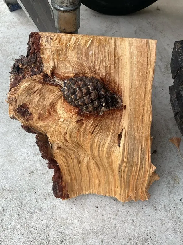 17 завораживающих творений природы