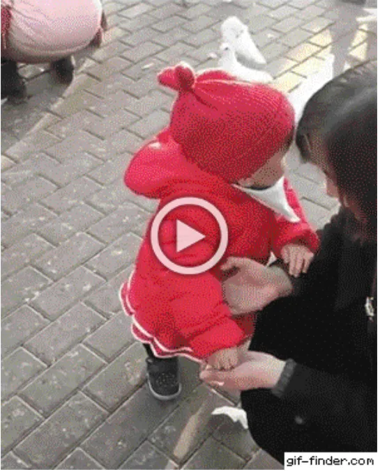 Просто гифки