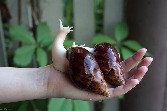 Просто фото