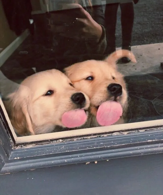 Просто фото