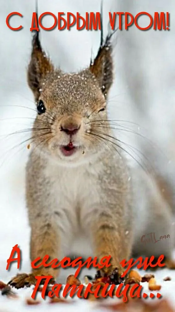 Прикольные и просто красивые картинки