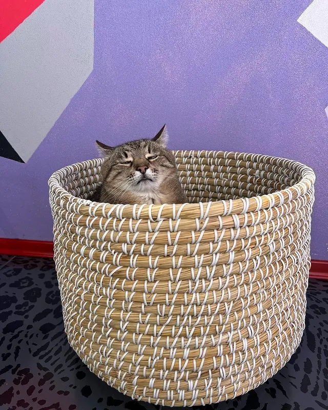 Трагедия Степана в трех актах