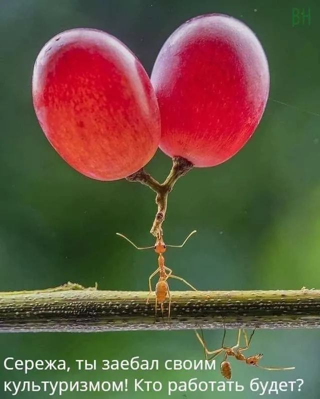 Подборка картинок