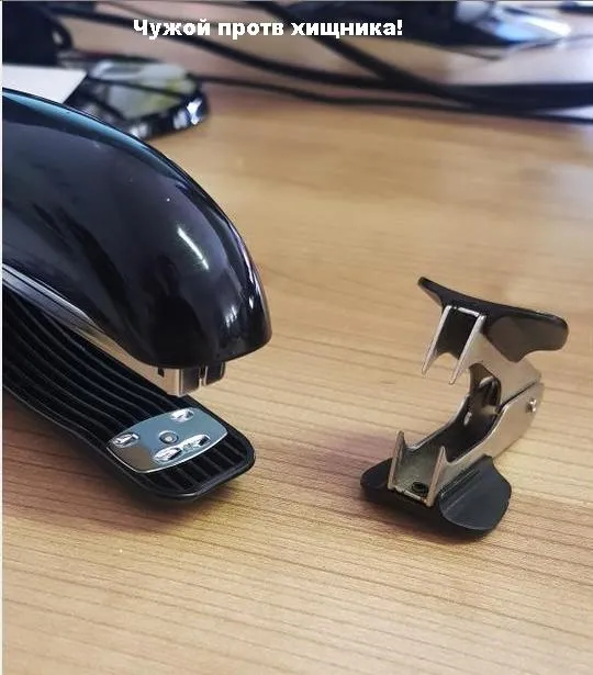 Картинки и мемы