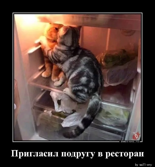 Картинки с надписями