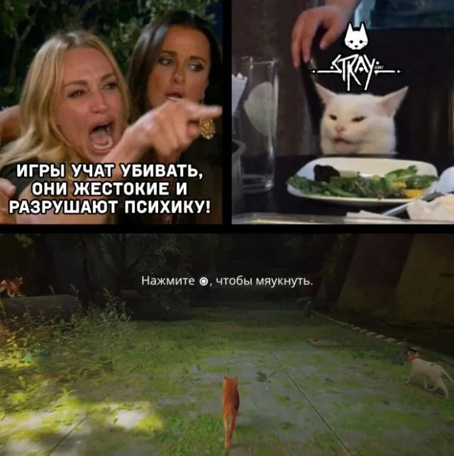 Картинки и мемы