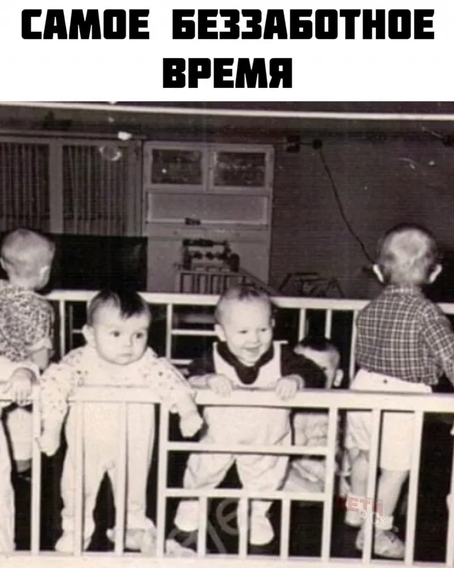 Картинки из нашей жизни