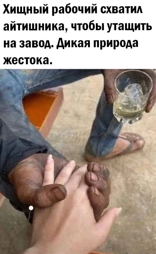Нестандартный юмор :)