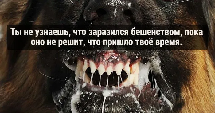 15 жутких научных фактов, которые действительно пугают