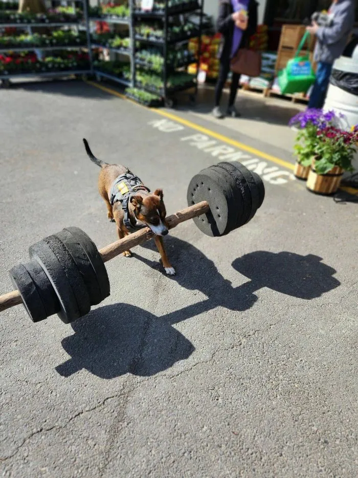 Фотоподборка