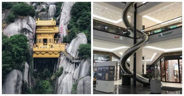 14 любопытных фотографий всяких редкостей