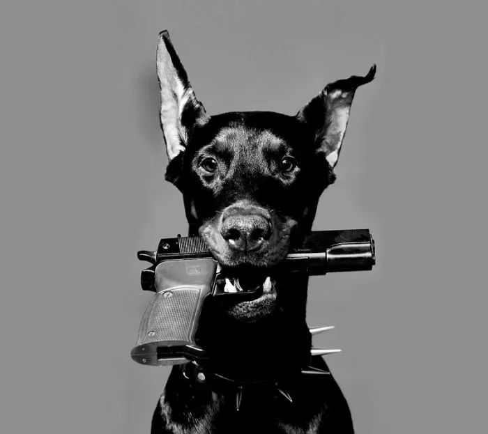 Просто фото