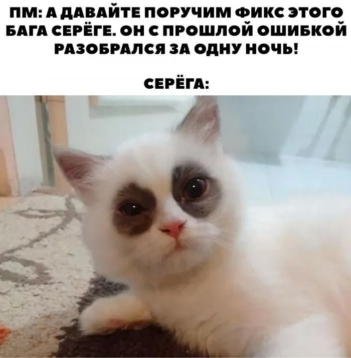 А надо было в штукатуры и сварщики: когда все решили уйти в АйТи