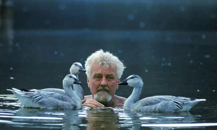 Почему утята следуют за пакетами, а журавли влюбляются в смотрителей? Запечатление — удивительное свойство детской психики