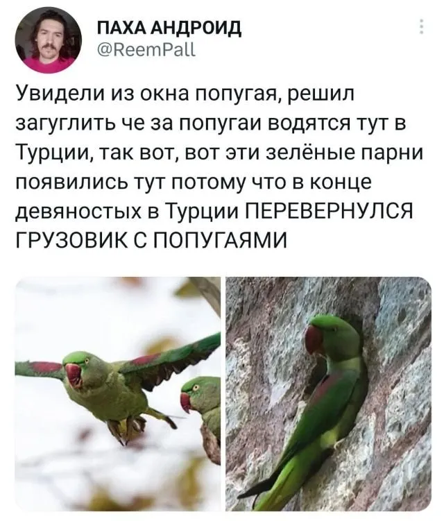 Подборка забавных твитов обо всем