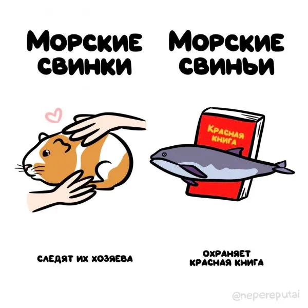 "Не перепутай": забавные подсказки о вещах и понятиях, которые люди часто путают