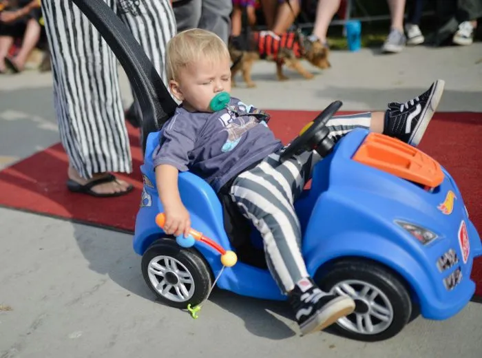 Фотоподборка