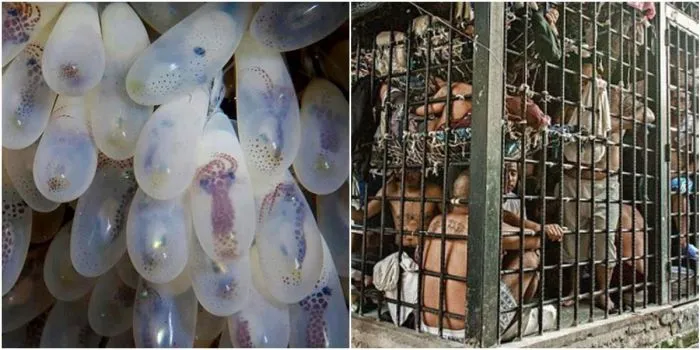 20+ занимательных кадров, которые открывают разные грани мира