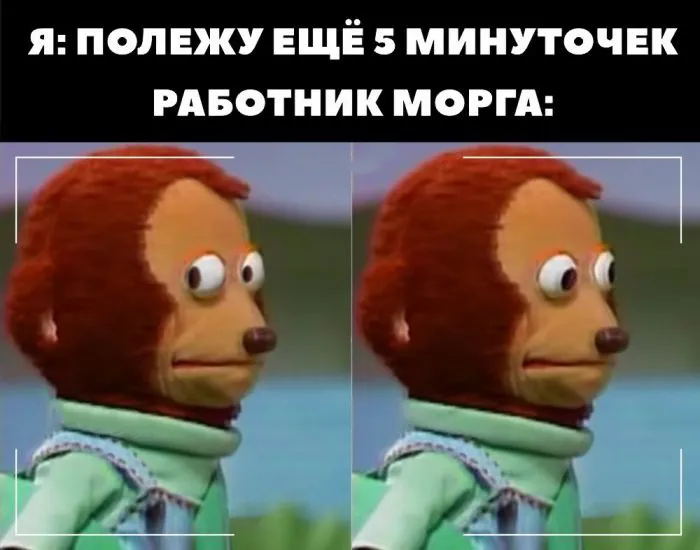 Чернушный юмор для ценителей: всё о моргах