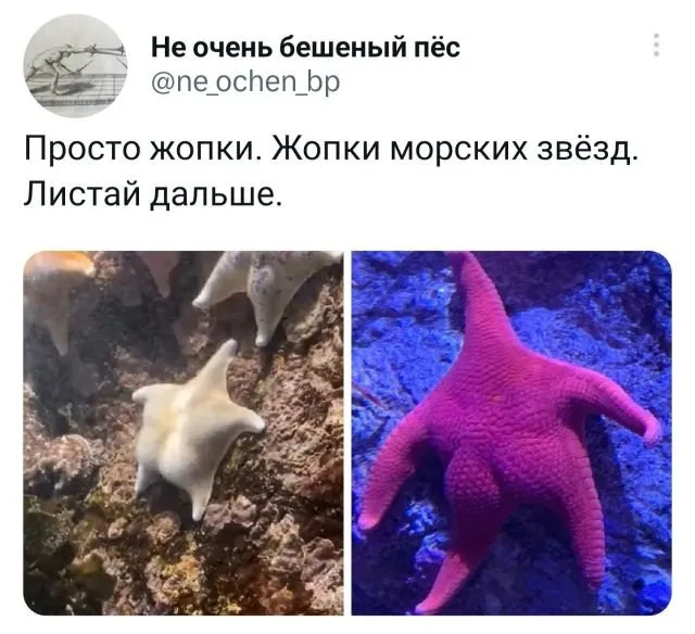 Подборка забавных твитов обо всем