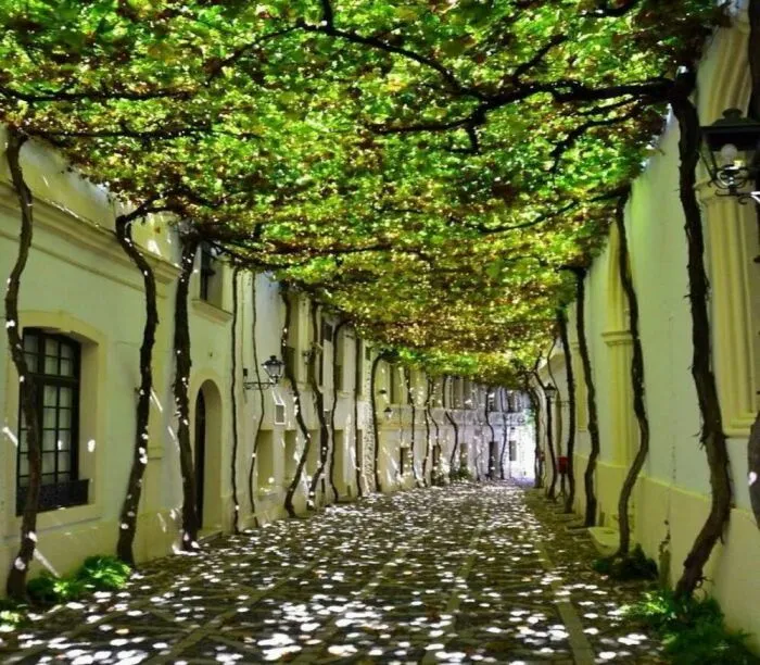 15 потрясающих примеров разумного строительства и правильного озеленения