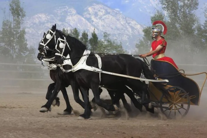Фризская лошадь: Рыцари исчезли, а кони остались. Чем сейчас занимается боевой конь средневековья?