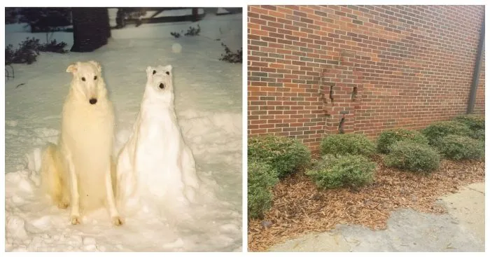 40 фотографий без контекста, которые и удивят, и порадуют