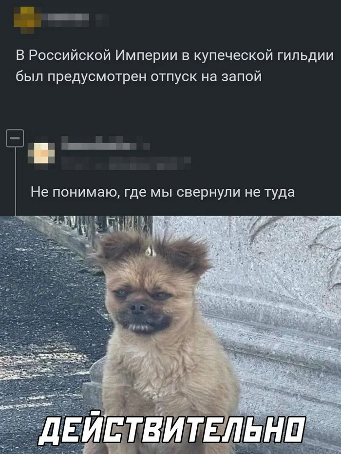 Скрины из соцсетей