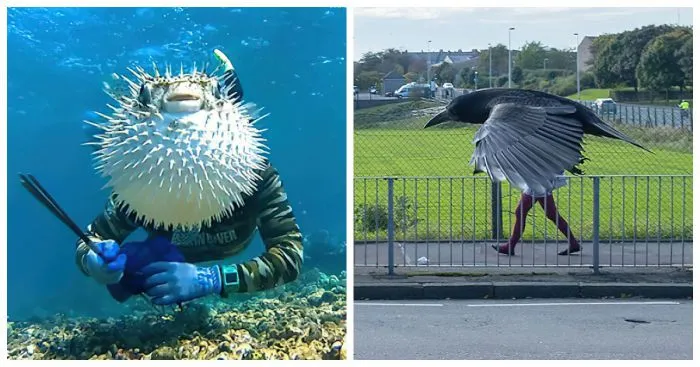 35 снимков, сделанных в идеальный момент