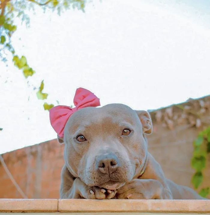 30 фотогеничных животных, которые шикарно получились на снимках