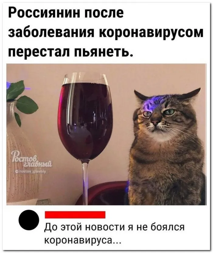 Скрины из соцсетей