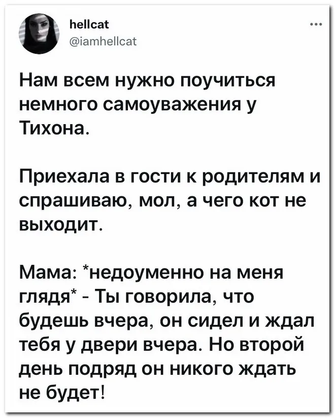 Скрины из соцсетей