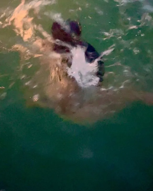 Сальма Хайек сверкнула грудью на отдыхе