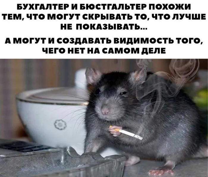 Пост о бюстгальтерах: маленьких, больших, мокрых и пластиковых