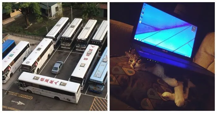 25 примеров справедливого возмездия