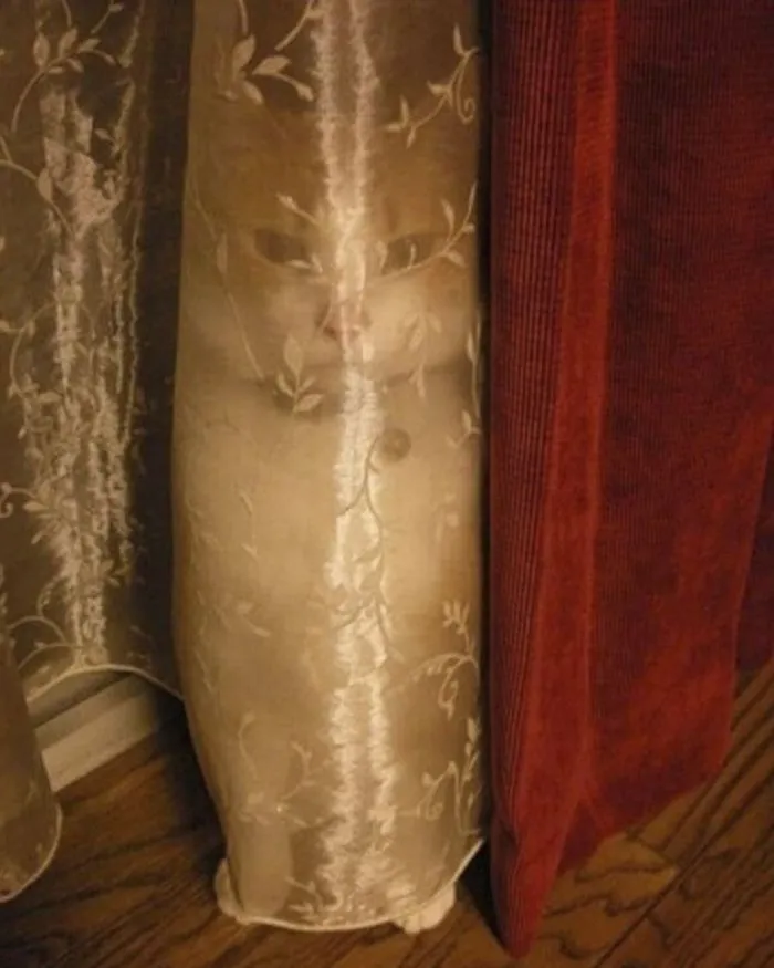 Найди меня, если сможешь: уроки от гуру маскировки