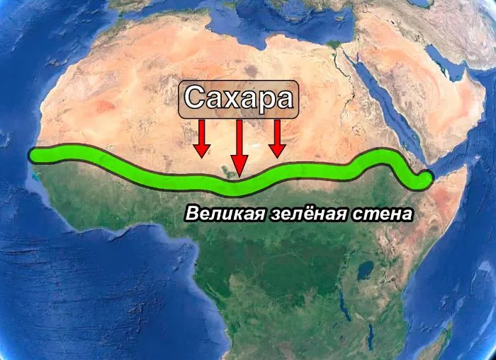 Великая зелёная стена: как Африка хочет остановить опустынивание и защититься от Сахары? Объясняю подробно