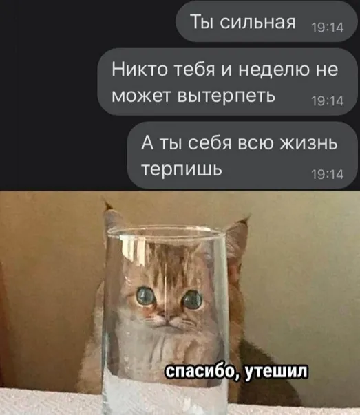 Приколы