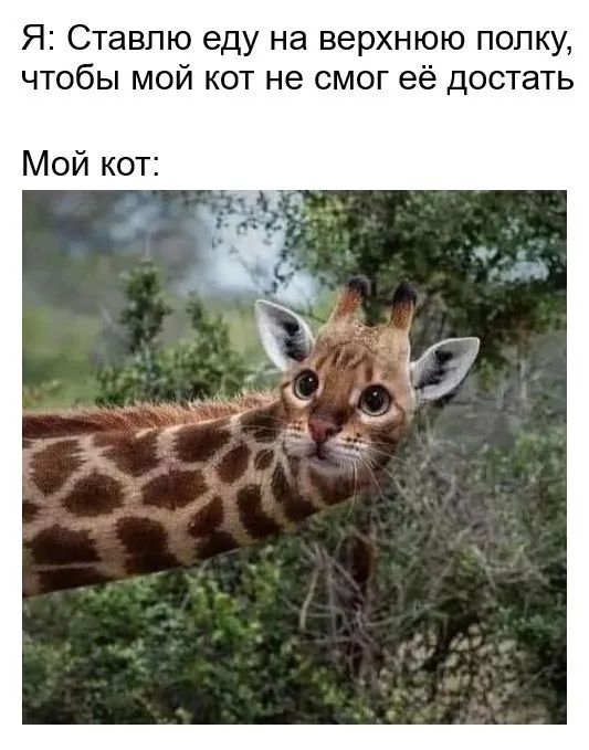 Картинки